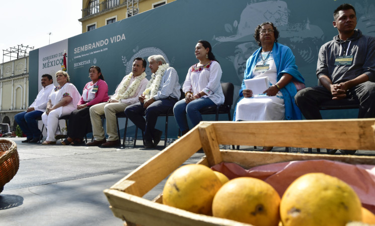 03.02.19 Versión estenográfica. Programa Sembrando Vida en Córdoba, Veracruz