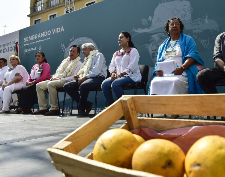 03.02.19 Versión estenográfica. Programa Sembrando Vida en Córdoba, Veracruz