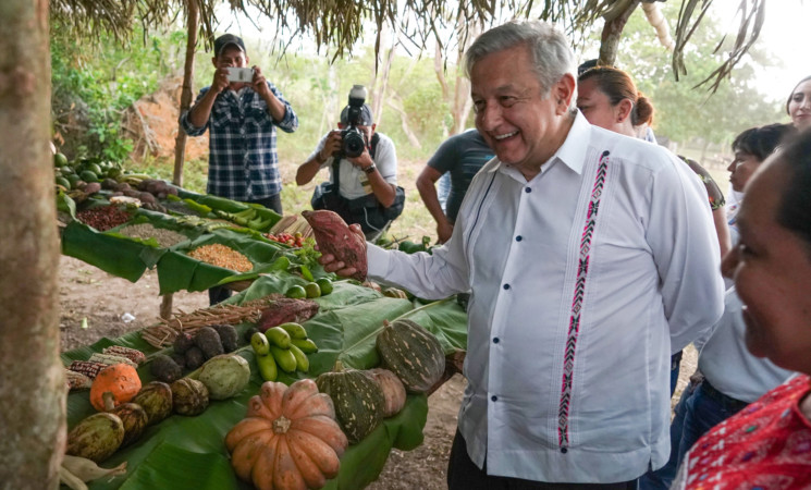 17.05.19 Versión estenográfica. ‘Sembrando Vida’, en Ejido Nueva Esperanza, Palenque, Chiapas