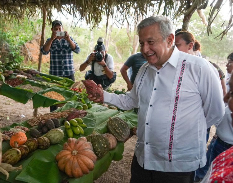 17.05.19 Versión estenográfica. ‘Sembrando Vida’, en Ejido Nueva Esperanza, Palenque, Chiapas