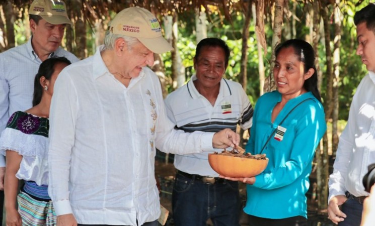 Invita presidente a campesinos a aprovechar beneficios de ‘Sembrando Vida’