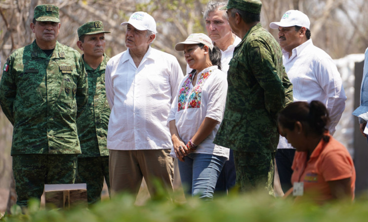 Presidente supervisa ‘Sembrando Vida’ en vivero militar de Tabasco