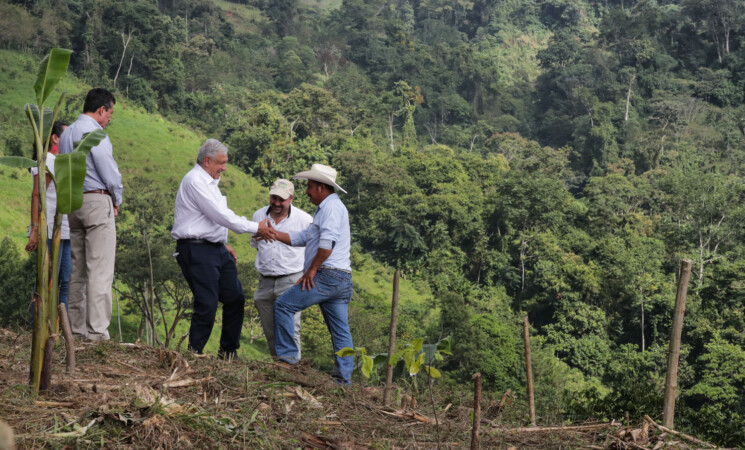 Presidente pide a beneficiarios de Sembrando Vida hacer uso efectivo del programa; supervisa vivero en Chiapas