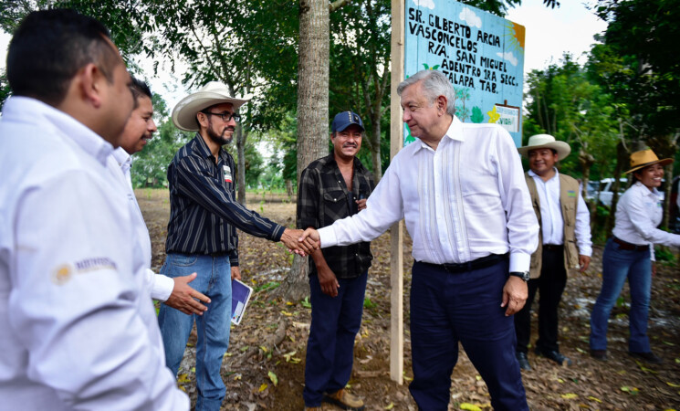 Presidente visita parcela de beneficiario de Sembrando Vida en Tabasco; anuncia incremento presupuestal del programa