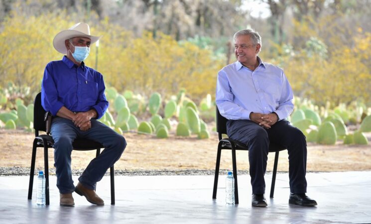 Impulso al campo, fundamental para la generación de empleos: presidente; destaca avances de Sembrando Vida y programas de bienestar en SLP