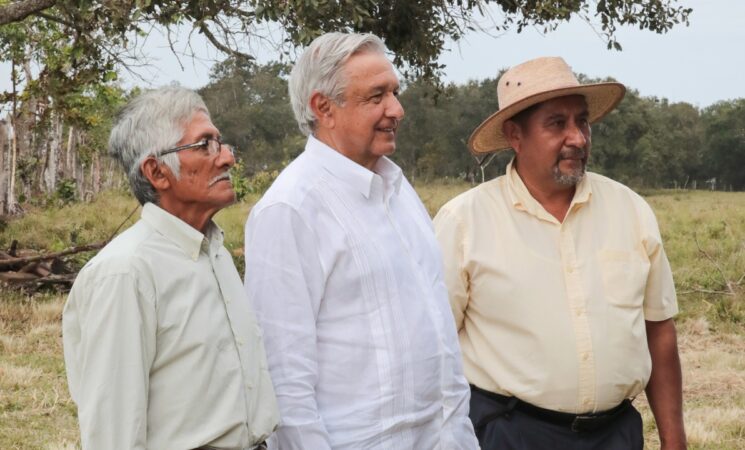 Presidente constata avances de Sembrando Vida en José Azueta, Veracruz