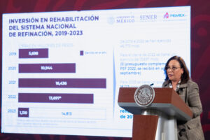 Rocío Nahle García, secretaria de Energía