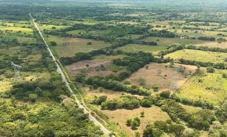 Volverán los trenes de pasajeros, afirma presidente al supervisar avance del proyecto de ferrocarril en el Istmo de Tehuantepec