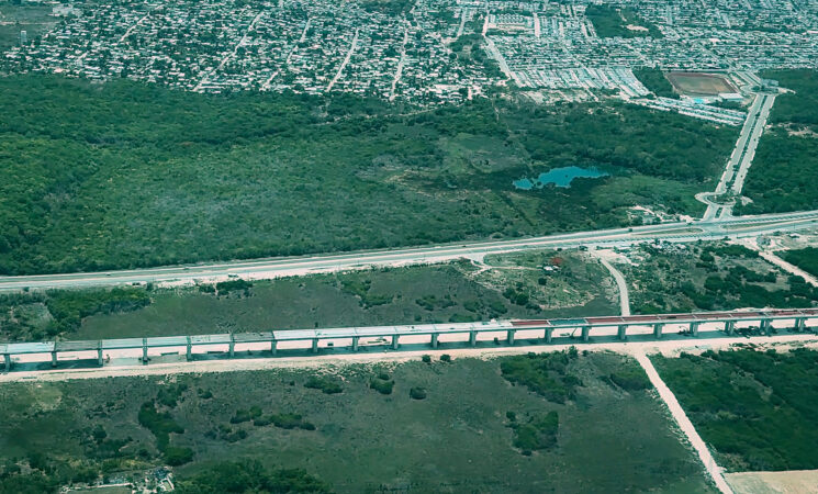 Presidente constata construcción de pasos de fauna y obras complementarias del Tren Maya